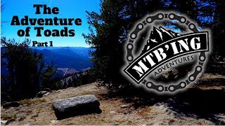 Tahoe Rim Trail, Freel Meadow (South Lake...