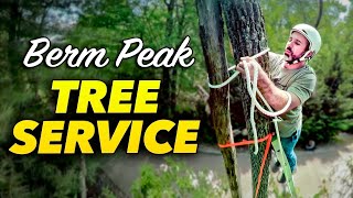 Bored? Let’s cut down this sketchy tree