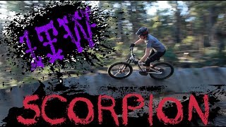 One Trail Wonder: Scorpion