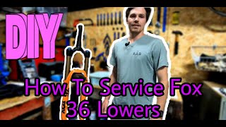 How To SERVICE FOX 36 LOWER LEGS