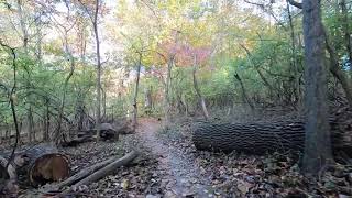 Cliff Cave MTB Trails