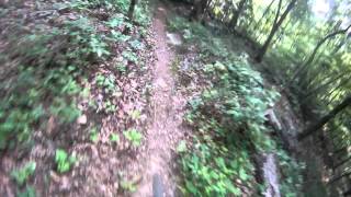 Live Wire Phase 2 DH