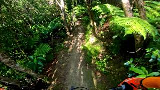 Bee Line/Dozer @ Wainui Trail Project