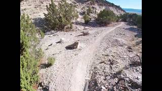 Quarry