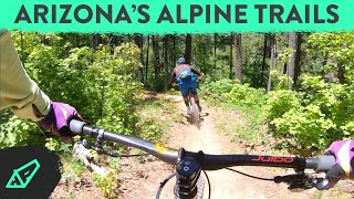 Exploring Arizona's High Alpine Trails -...