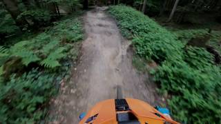 Waldegg Trail