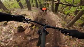 Maui The German Shepherd's Mountain Bike Trail...