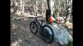 Riding My Specialized Stumpjumper with Bella...