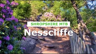 Exploring Nescliffe for first time -...