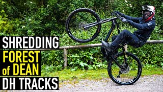 SHREDDING DOWNHILL TRAILS// FOREST OF DEAN!!