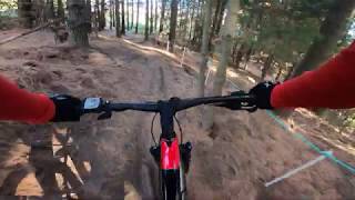 Captain Cook - Christchurch Adventure Park,...