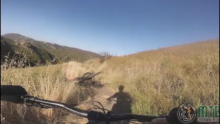 When your E-bike goes Skynet on you
