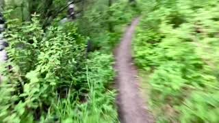 Forest Biking in Calgary