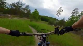 MTB Gustavsberg Trail: Nexus