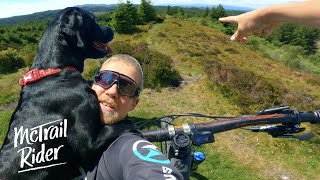 Will She Make A good Trail Dog?