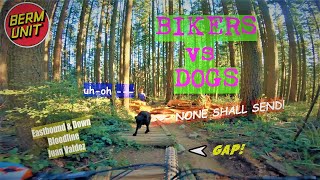 BEST TRAILS ON EAGLE MTN! // EASTBOUND &...
