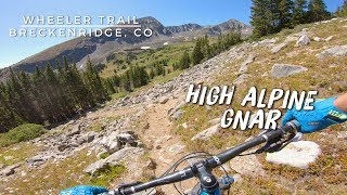 High Alpine Gnar | Wheeler Trail -...