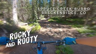 Spruce Creek to the Burro Trail | Breckenridge, CO