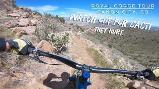 I Bet You've Never Ridden Here! Royal Gorge...