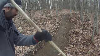 Leaf Clearing at my Local trails
