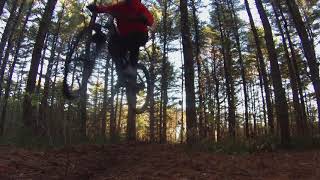 Playing at Cole's Woods
