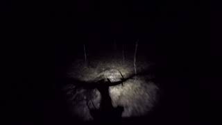 Night Moves - Playing bikes in the dark