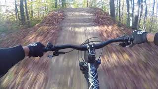 Fun at Killington Bike Park