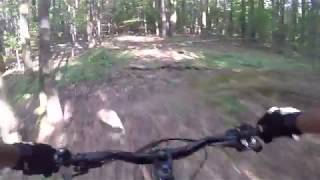 Rollers @ Daniels rd