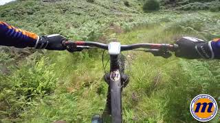 The Scree