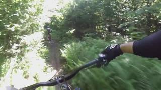 Playing @ Luther Forest