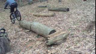 Log at Cowles woods