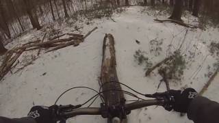 Local Session Logs Logs Logs