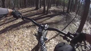 Lippman 4 9 17 Ride