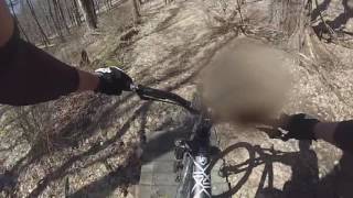 Lippman 4 2 17 Slows