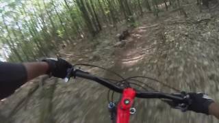 Surf   Gurney Lane MTB