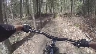 Lussi & Logges, Lacy Underall 5:12:17