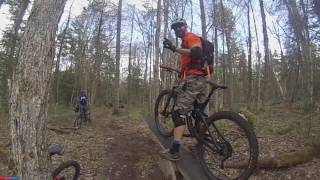 Lussi & Logges, Loggers trail and playing...