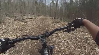 Henry's Woods   Rocky Knob 4:29:17