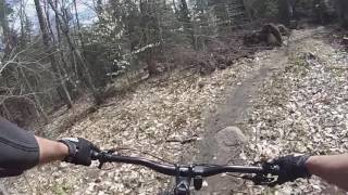 Lussi & Loggers Trails