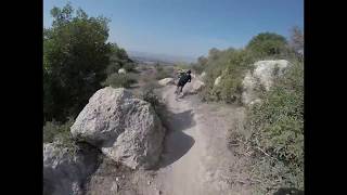 No pedaling, just flying over the cow