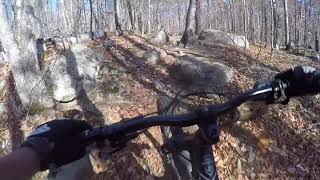 Flume Trails