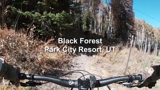 Black Forest | Park City Resort, UT
