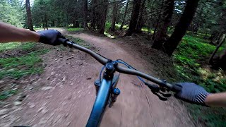 DH MTB Serraussaix Fourmiz (Avoriaz/Super Morzine)