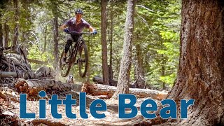 FLAGSTAFF | LITTLE BEAR TRAIL | MTB