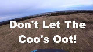 Don't Let The Coo's Oot! - Brimmond Hill