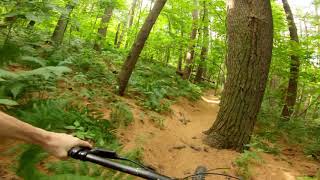 Beautiful! | Mohican State Park MTB trail