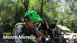 Monte Morello (FI) 20-06-2020