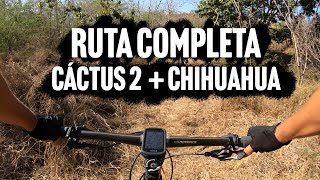 Cáctus 2 + Chihuahua 'Ruta Completa' - Cabo...