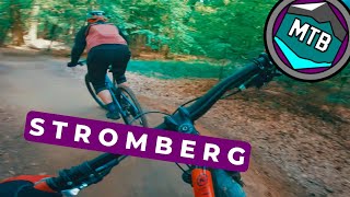 Benebelt läuft es besser | Flowtrail...