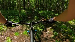 MTB Leominster State Forest - No Dabs